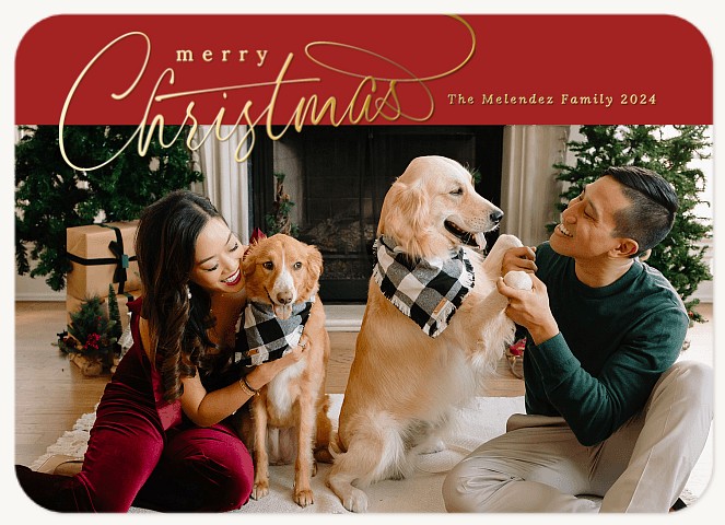 Signature Band Personalized Holiday Cards