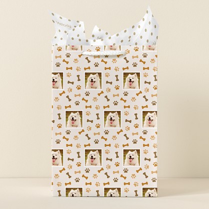 Playful Pet Gift Bag