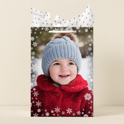 Snowflake Border Photo Gift Bag