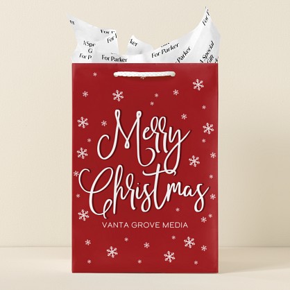 Frosty Christmas Gift Bag
