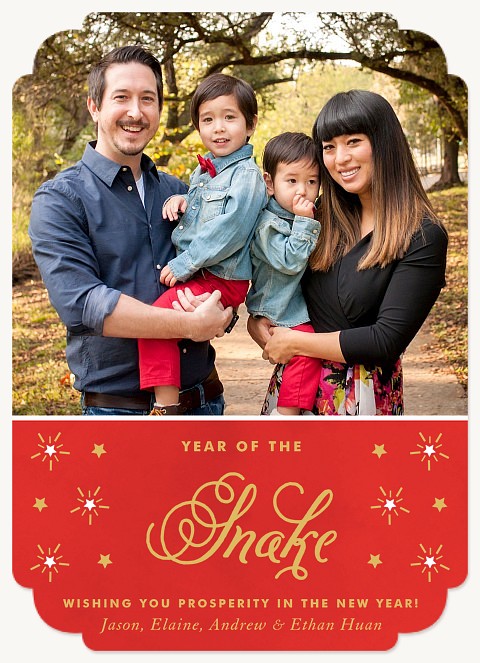 Starry New Year Chinese New Year Cards
