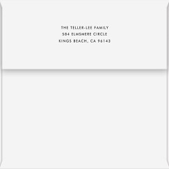 Modern Minimalist