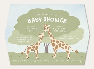 Safari Giraffes