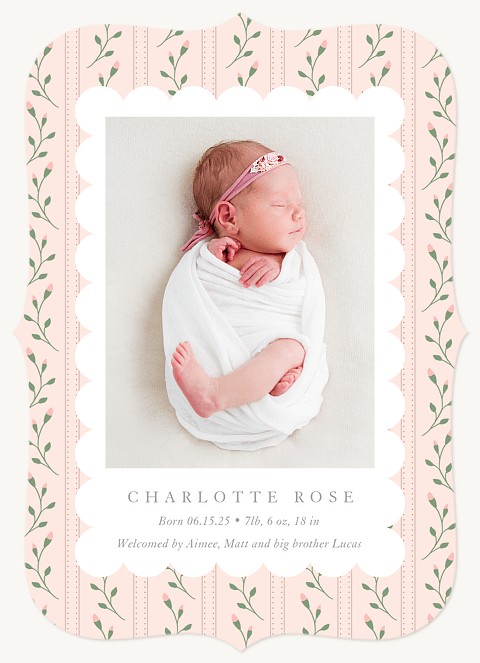 Rosebuds Baby Announcements