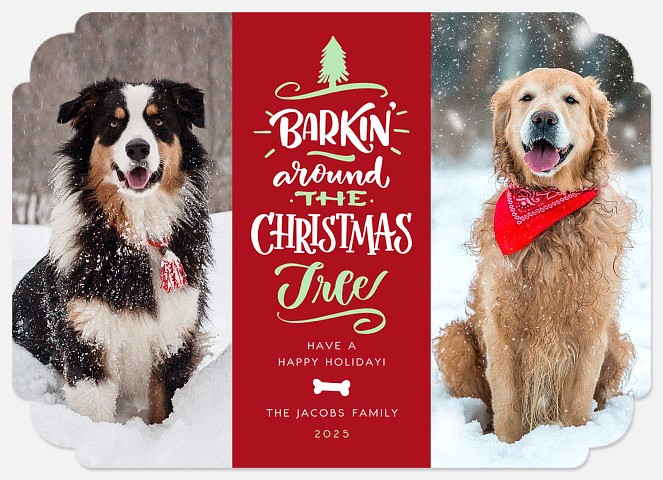 Barkin' Christmas From the Pet Holiday Cards
