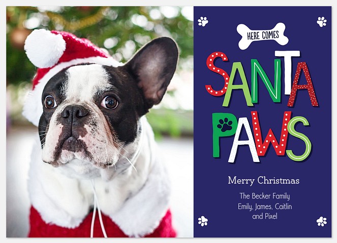 Merry Santa Paws Holiday Photo Cards