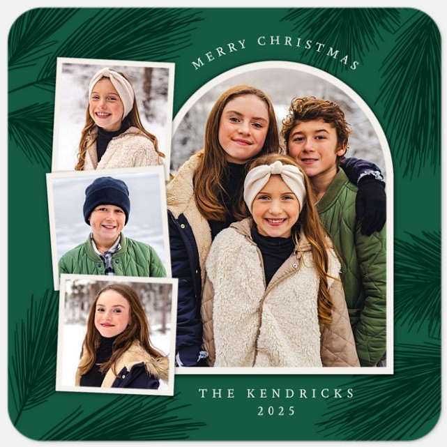 Evergreen Elegance Holiday Photo Cards