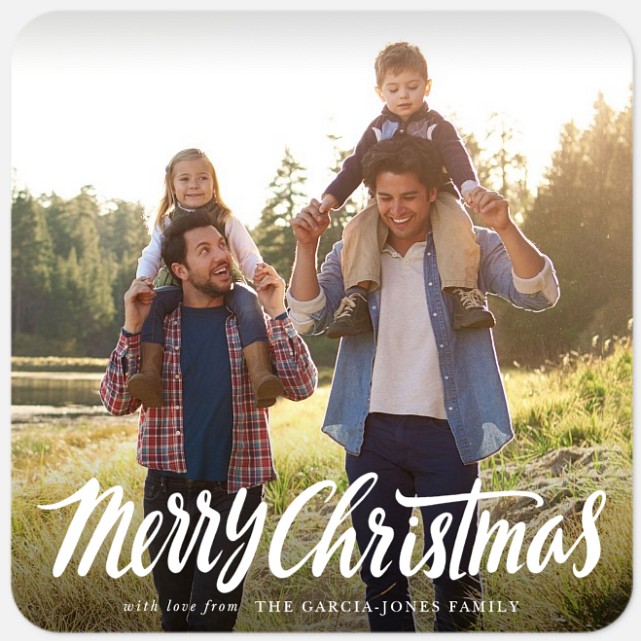 Lighthearted Tidings Holiday Photo Cards
