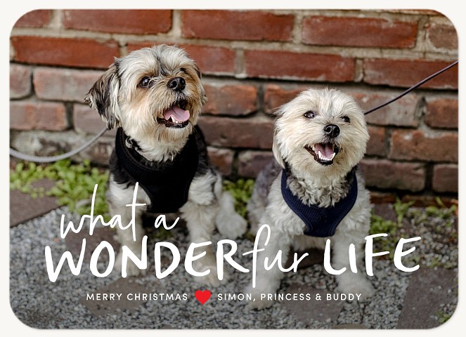Wonderfur Life Personalized Holiday Cards