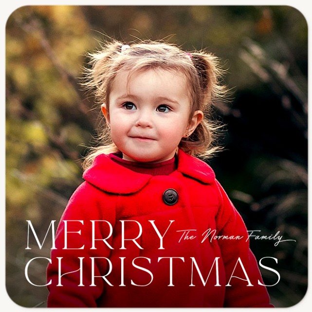 Classic Merry Personalized Holiday Cards
