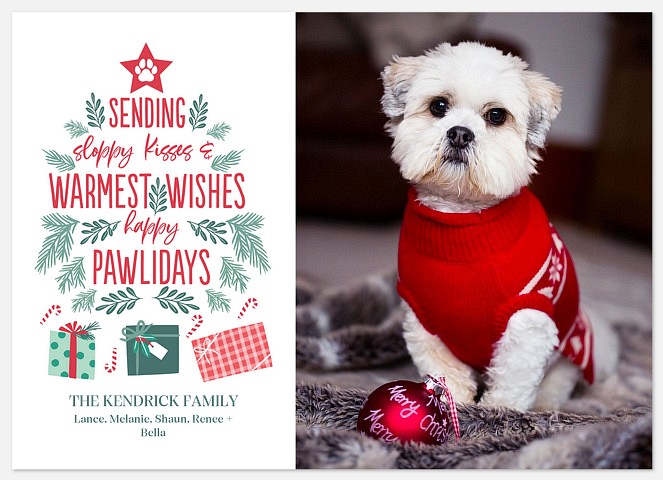 Sloppy Kisses Holiday Photo Cards
