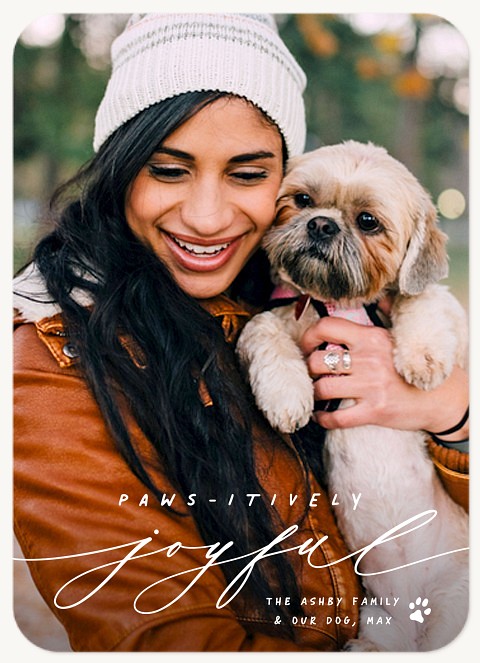 Pawsatively Joyful Personalized Holiday Cards