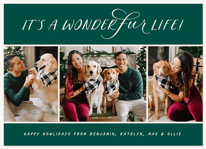 Wonderfur Life  Personalized Holiday Cards