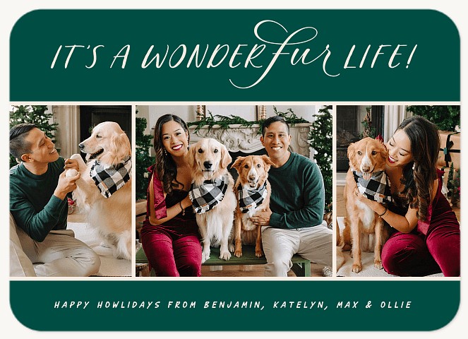 Wonderfur Life  Personalized Holiday Cards