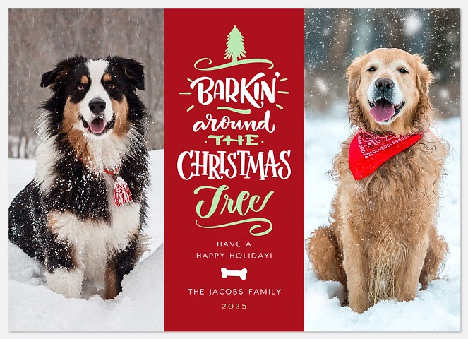 Barkin' Christmas Holiday Photo Cards