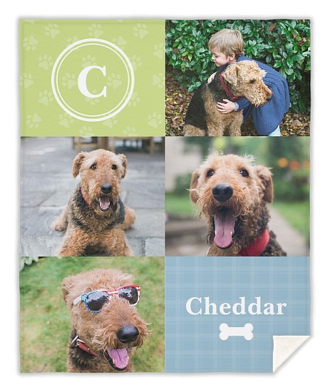 Pawesome Monogram Custom Blankets