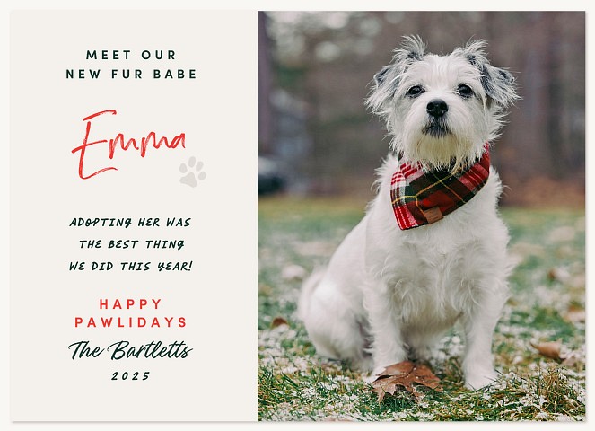 New Fur Babe Personalized Holiday Cards