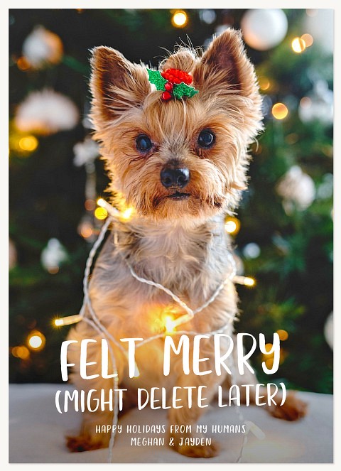 Felt Merry Personalized Holiday Cards