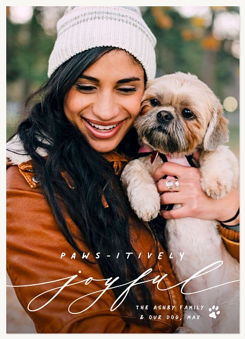 Pawsatively Joyful Personalized Holiday Cards