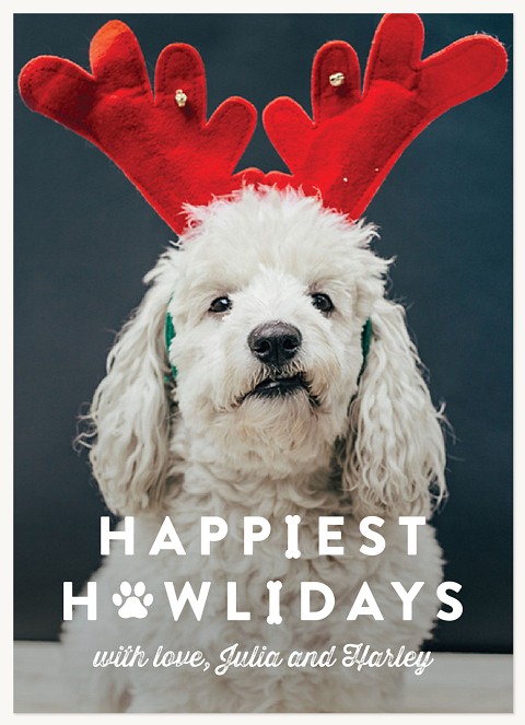 Howl-i-days Photo Holiday Cards