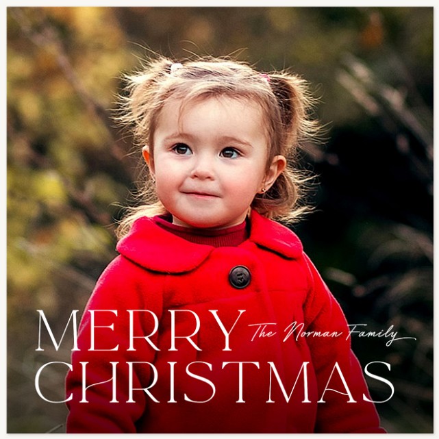 Classic Merry Personalized Holiday Cards
