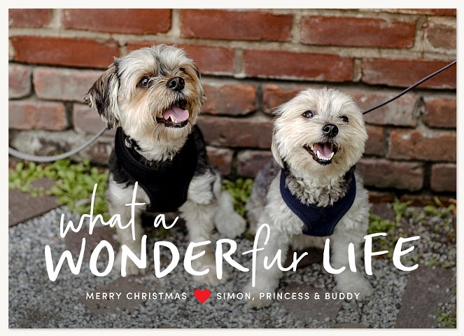 Wonderfur Life Personalized Holiday Cards
