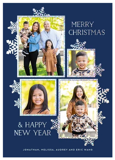 Distinguished Snowflakes Personalized Holiday Cards