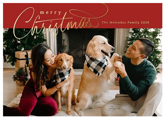Signature Band Personalized Holiday Cards