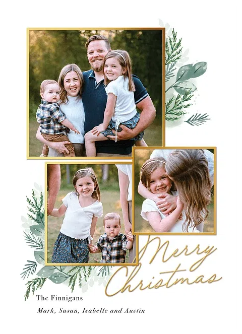 Evergreen Accent Personalized Holiday Cards
