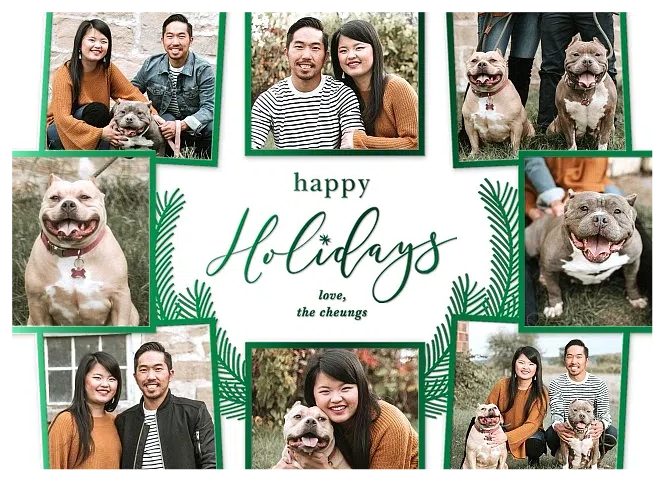 Farmstead Photo Holiday Cards