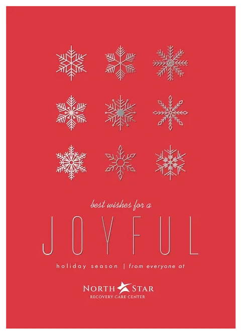 Mod Snow Business Holiday Cards