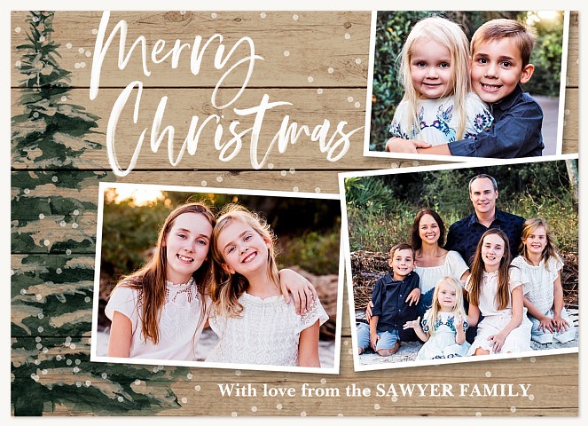 Winter Pine Christmas Cards