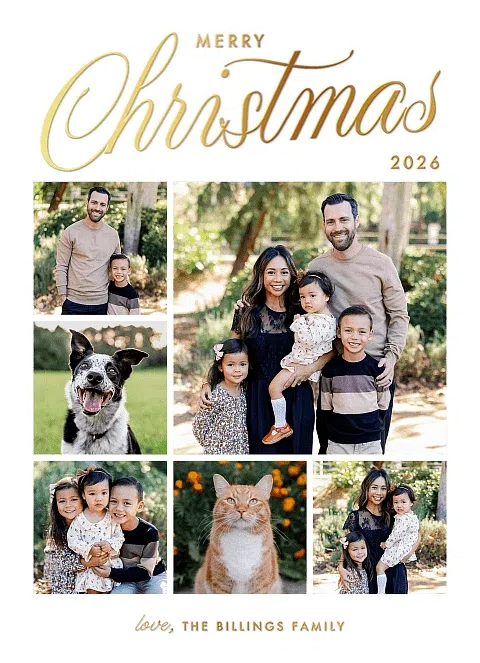Love Squared Personalized Holiday Cards