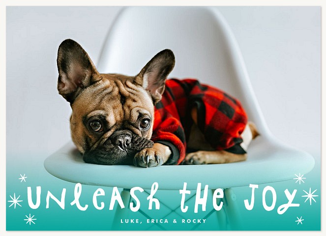 Unleashed Joy Personalized Holiday Cards