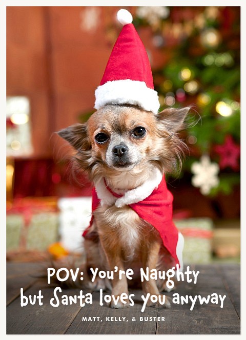 Santa's POV Personalized Holiday Cards