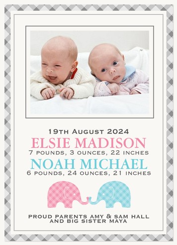 Elephant Plaid Mix Twin Birth Announcement Cards