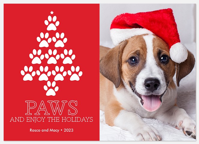 Cheerful Paws From the Pet Holiday Cards