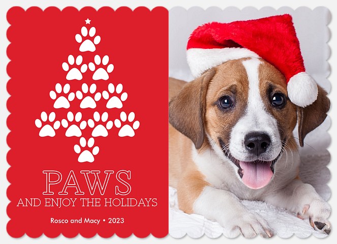 Cheerful Paws Holiday Photo Cards