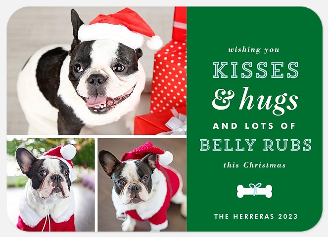 Favorite Things From the Pet Holiday Cards