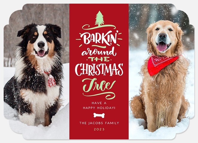 Barkin' Christmas Holiday Photo Cards