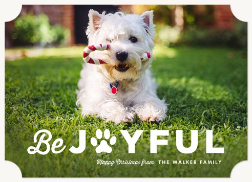 Joyful Paw Christmas Cards