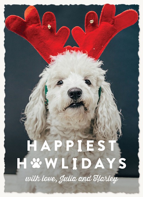 Howl-i-days Dog Christmas Cards
