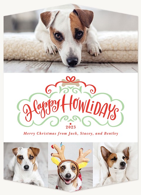 Tied with a Bone Personalized Holiday Cards