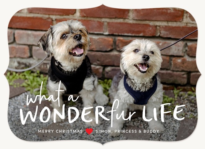 Wonderfur Life Personalized Holiday Cards