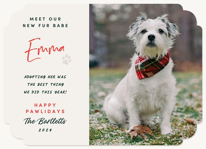 New Fur Babe Personalized Holiday Cards