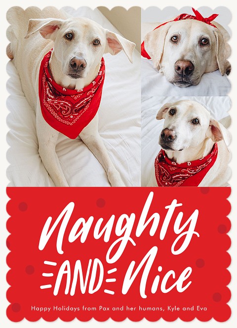 Naughty & Nice Dog Christmas Cards