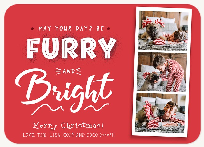 Furry Days Christmas Cards