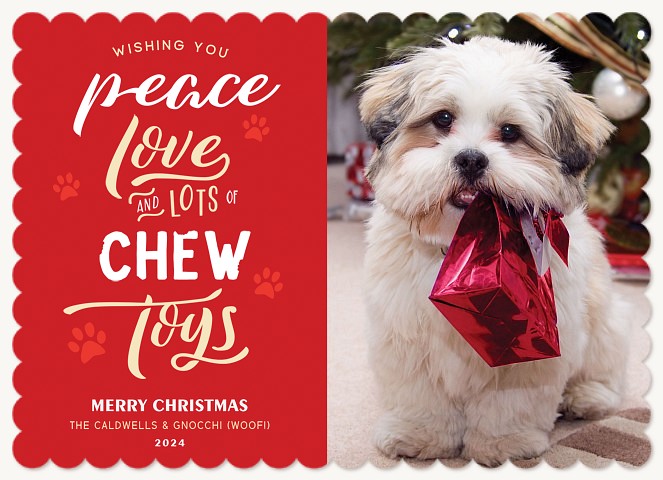 Chew Toys Personalized Holiday Cards