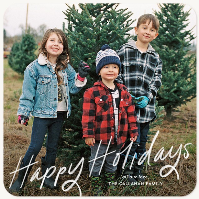 Breezy Greetings Personalized Holiday Cards