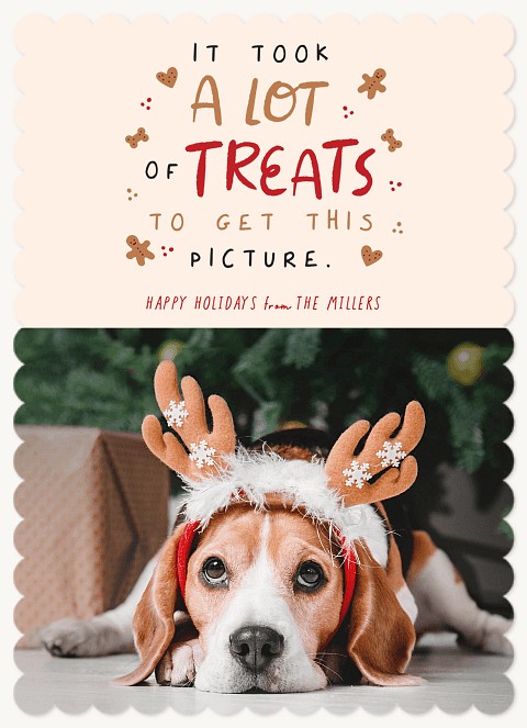 Holiday Treats Personalized Holiday Cards